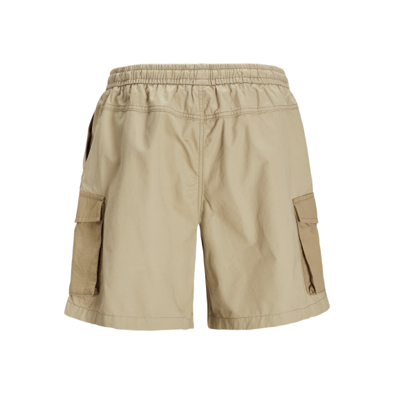 JACKJONESshorts-01099