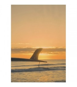 KlitmllerCollectiveplakat-20