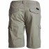 NORTH564shorts-024