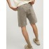 JACKJONESSHORTS-01072